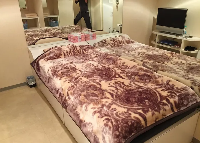 Kinshicho Rental Room Paris (Adults Only)